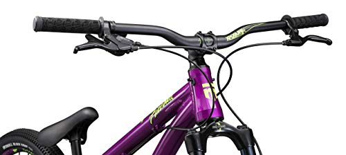 Mongoose Fireball Dirt Jump Mountain Bike 26-Inch Mechanical Disc Brakes Purple