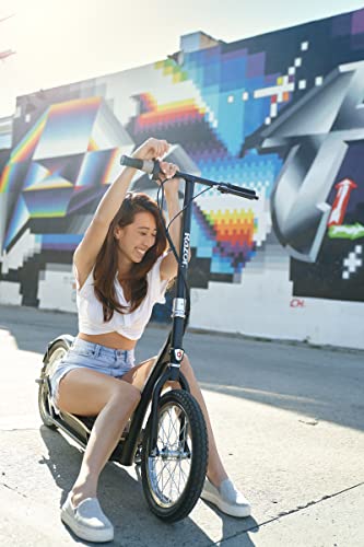 Razor EcoSmart SUP Electric Scooter Black