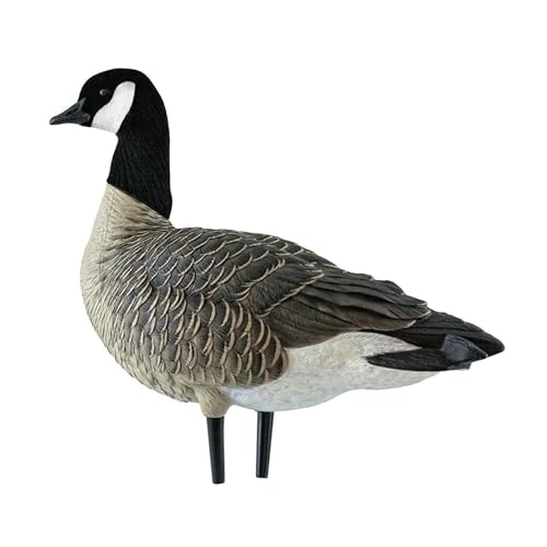 Avian-X AXF Lessers Full Body Goose Hunting Decoys 12 Pack Multicolor