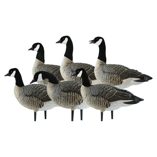Avian-X AXP Honkers Fusion Pack Lesser Canada Goose Decoys 2 Pack