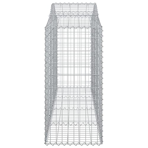 Arched Gabion Baskets 2 Pcs 78.7"x19.7"x47.2"/55.1" Galvanized Iron for Outdoor Plants White Black Other