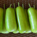 Kitazawa Seed Company Gourd Seeds Tai Hoo Hybrid Non-GMO 1 Lb ~2240 Seeds