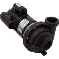 Balboa Water Group 6500-343 2-Spd 2.5HP 230V 60Hz OEM Pump