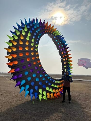 TiffyDance 20 Ft 3D Color Circle Kite Black