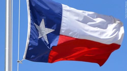 World Flags Direct Texas Fully Sewn Outdoor Nylon State Flag 20'x30'