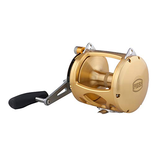 PENN INT80VISW International Lever Drag 2-Speed Saltwater Reel Gold
