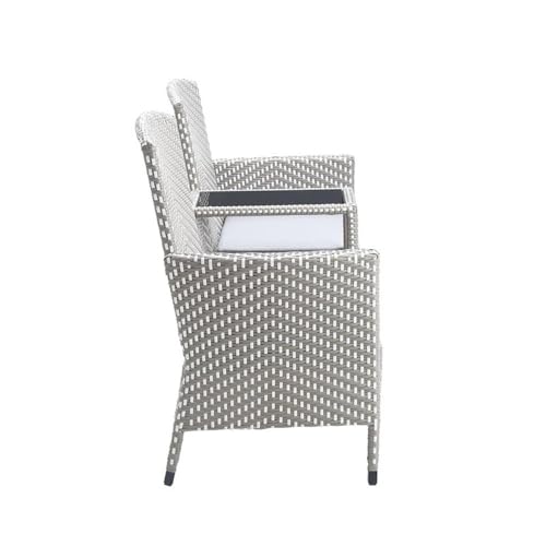 Furniture of America Gray Aluminum Patio Loveseat & Storage Bench Outdoor Set of 2 Grey