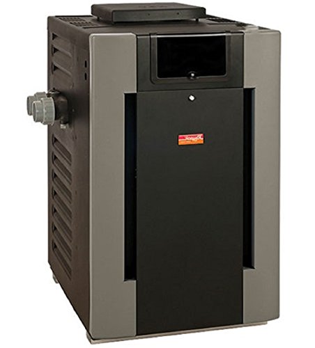 Raypak 014938 Digital with Polymer Headers Heater