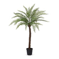 Park Hill Collection Giant Tree Fern in Growers Pot Green