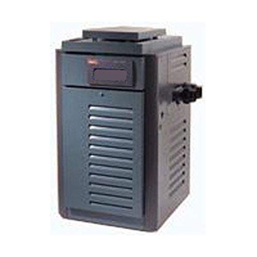 Raypak 266,000 BTU Natural Gas Millivolt Pool Heater