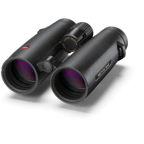Leica 8x42 Noctivid Binocular Black with Backpack Case
