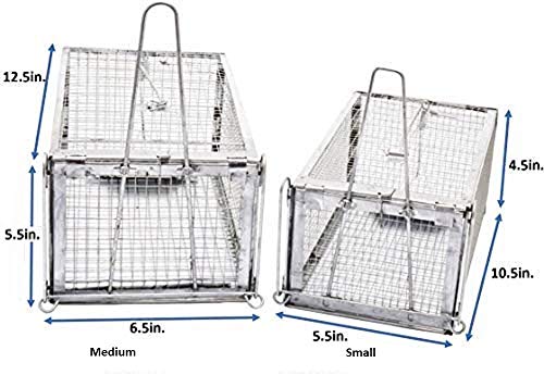 AB Traps Humane Live Animal Trap Cage for Rats, Mice, and Squirrels - Small 10.5" x 5.5" x 4.5" 40-Pack