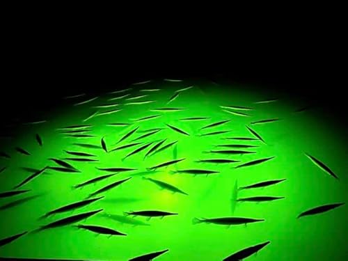 Underwater FishLight Extra Bright 250W Double Light Natural Green