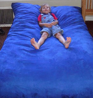 Robb's Pillow Furniture Queen Hug Bed & Lounger Cafe Microfiber