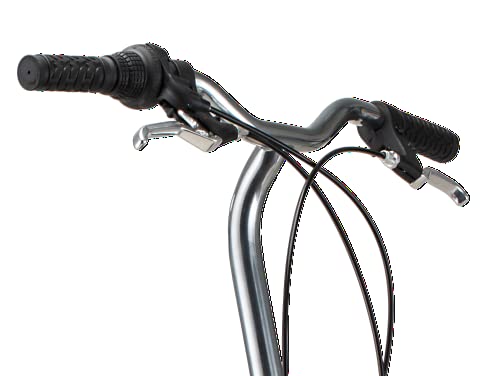 Schwinn Loop Adult Folding Bike 20-inch Wheels 7-Speed Drivetrain Rear Cargo Rack Carrying Bag Black