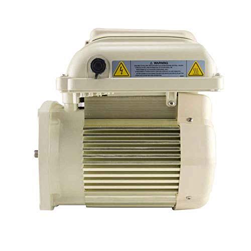 Pentair Superflo 342001 Motor/Drive Assembly Almond