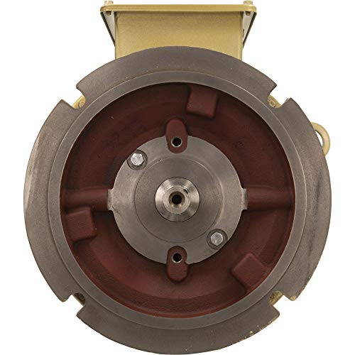 Pentair 357204S 7-1/2 HP Single Phase Motor Replacement Pump