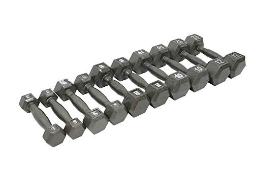 Ader Sporting Goods Hex Cast Iron Dumbbell Set with Vertical Rack Grey