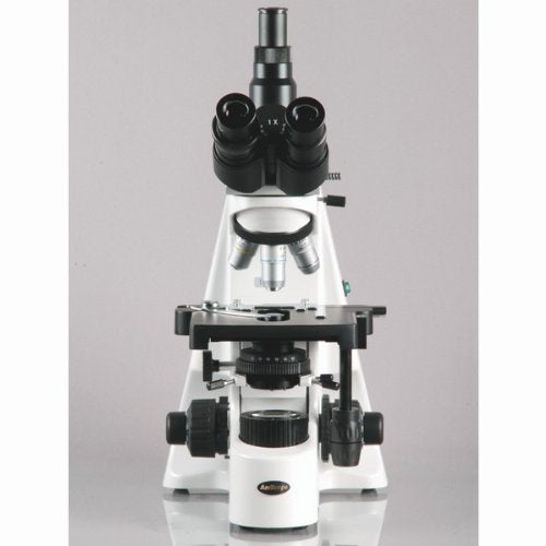 AmScope Digital Trinocular Compound Microscope 40X-2500X Magnification