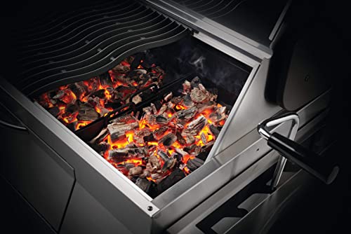 Napoleon PRO605CSS Professional Charcoal Grill Stainless Steel