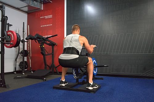 Gronk Fitness Plate Loaded Belt Squat Machine Black