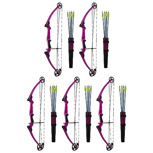 GENESIS Archery Compound Bow Kit Adjustable Draw Length 15" to 30" & Weight 10-20 lbs Left-Handed Purple
