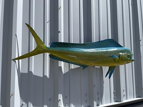Mount This Fish Company 37" Two Sided Cow Dolphin Wall Mount Fish Replica