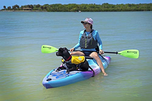 Perception Kayaks Hi Life 11 Sit on Top Hybrid SUP Kayak Funkadelic