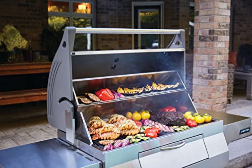 Napoleon PRO605CSS Professional Charcoal Grill Stainless Steel