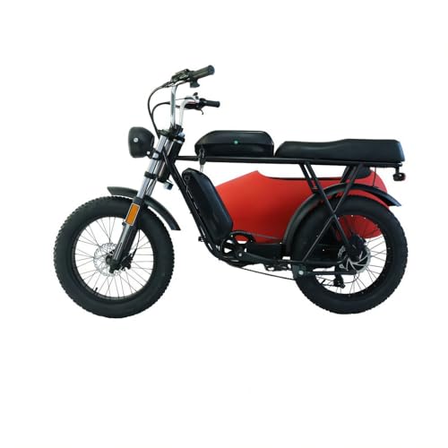 RZZLGY Electric Motorcycle with Sidecar, Snow Tires, 60km Range, Red