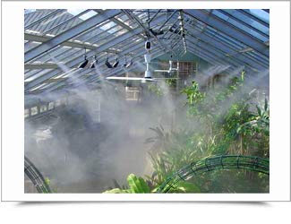 Mistcooling Automatic Greenhouse Humidification System with Humidity Controller 150 Ft - 15 Nozzles