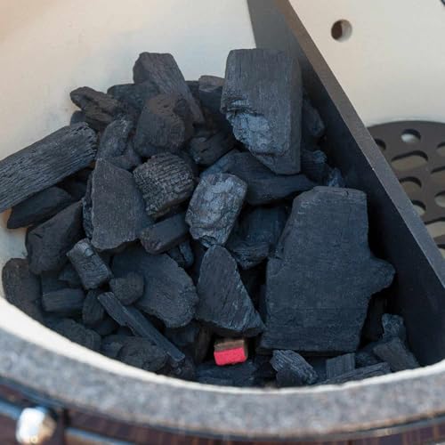 Primo Extra Large Charcoal Grill Black