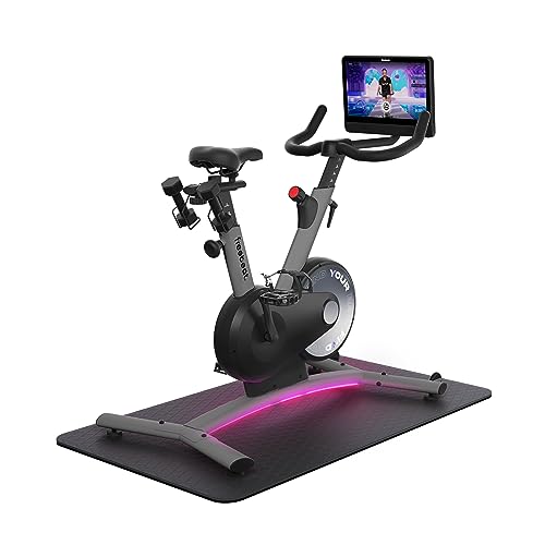 freebeat. Exercise Bike Mist Gray