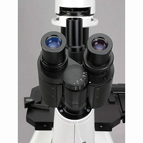 AmScope Digital Inverted Trinocular Microscope 40x-1000x White