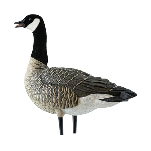 Avian-X AXF Lessers Full Body Goose Hunting Decoys 12 Pack Multicolor
