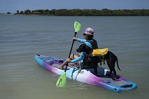 Perception Kayaks Hi Life 11 Sit on Top Kayak SUP/Paddleboard Sunset