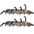 Avian-X AXP Honkers Fusion Pack Full Body Canada Goose Decoys Silver