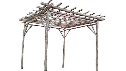 MGP Bark on Teak Log Wood Pergola 10' x 10' x 8' H