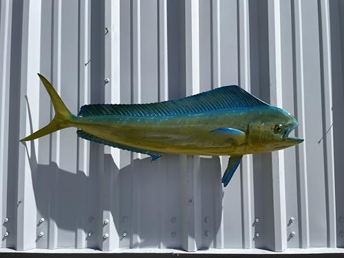 Mount This Fish Company 37" Two Sided Cow Dolphin Wall Mount Fish Replica