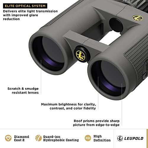 Leupold BX-4 Pro Guide HD Binoculars 10x42mm Shadow Gray
