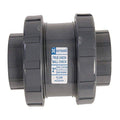 Hayward 4-Inch PVC True Union Check Valve with EPDM Seals