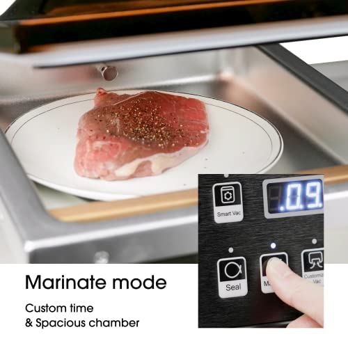 V Vesta Precision 12 Inch Chamber Vacuum Sealer OP12 Heavy Duty