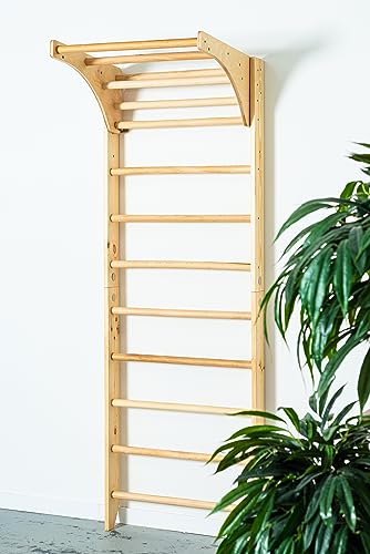 CleverWood Swedish Ladder Stall Bars Set for Physical Therapy & Gymnastics