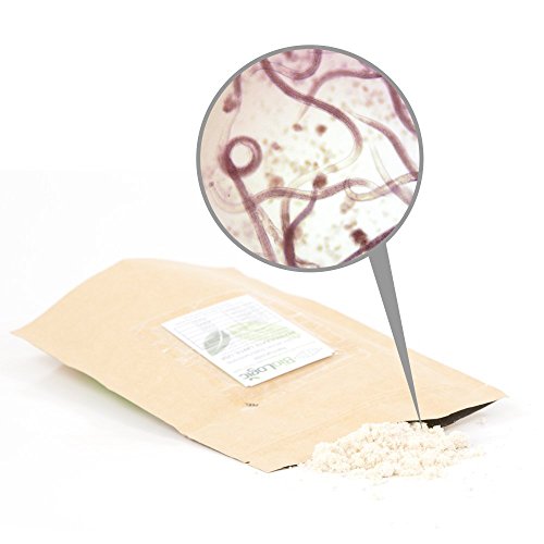 BioLogic Scanmask Beneficial Nematodes for Pest Control 1 Billion Size
