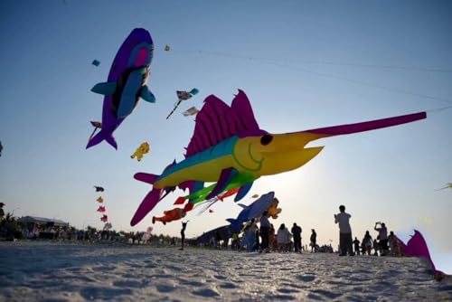 TiffyDance 56 Ft 3D Inflatable Swordfish Kite Pendant Red Blue