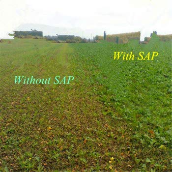 SOIL MOIST SAP SUPER ABSORBENT POLYMER Water Storing Crystal for Plants White (45 Pounds)