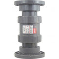 Hayward TC1600FE 6-Inch PVC TC Series True Union Check Valve EPDM Seals Flanged End