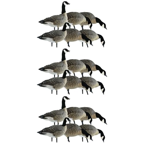 Avian-X Lessers 6 Piece Fusion Goose Decoy Set Multicolor