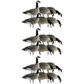 Avian-X Lessers 6 Piece Fusion Goose Decoy Set Multicolor