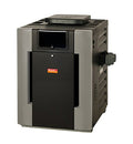 Raypak Low Nox Digital Heater Multi-Colored